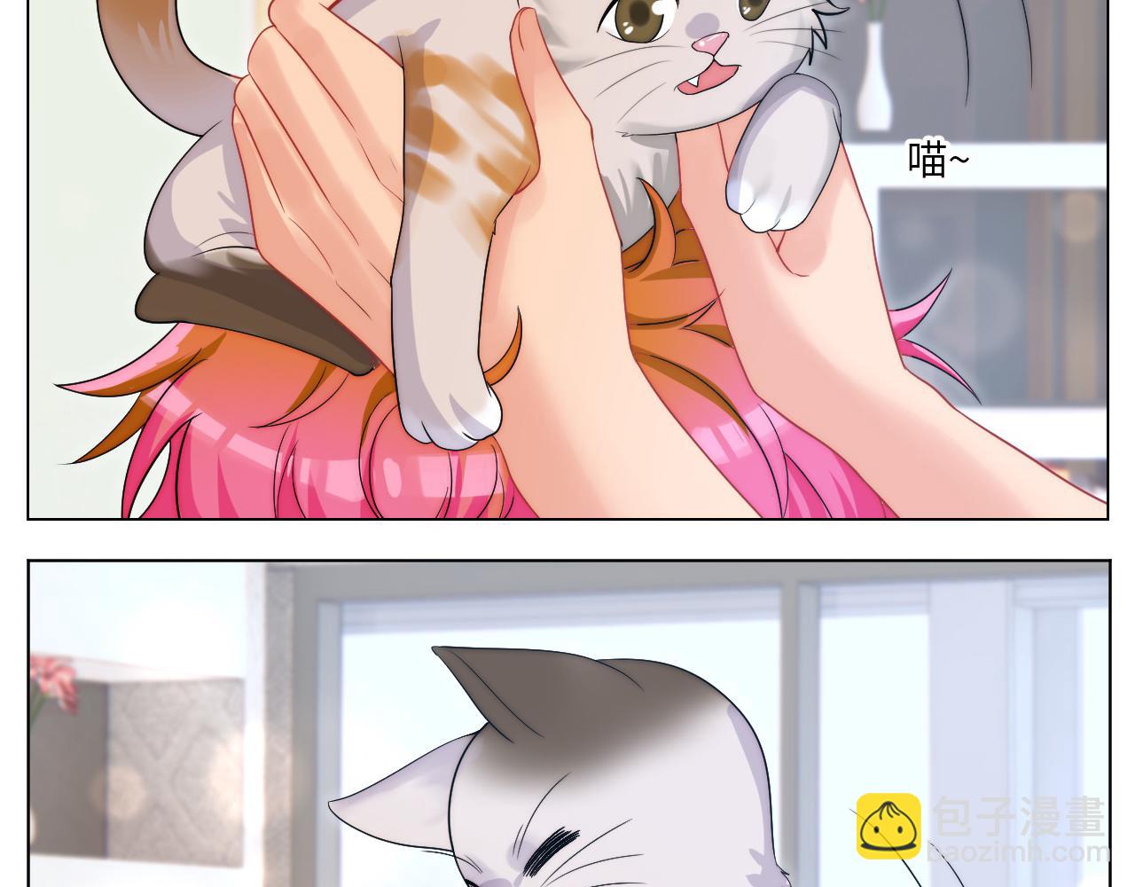 小猫咪们的小护士-第165话