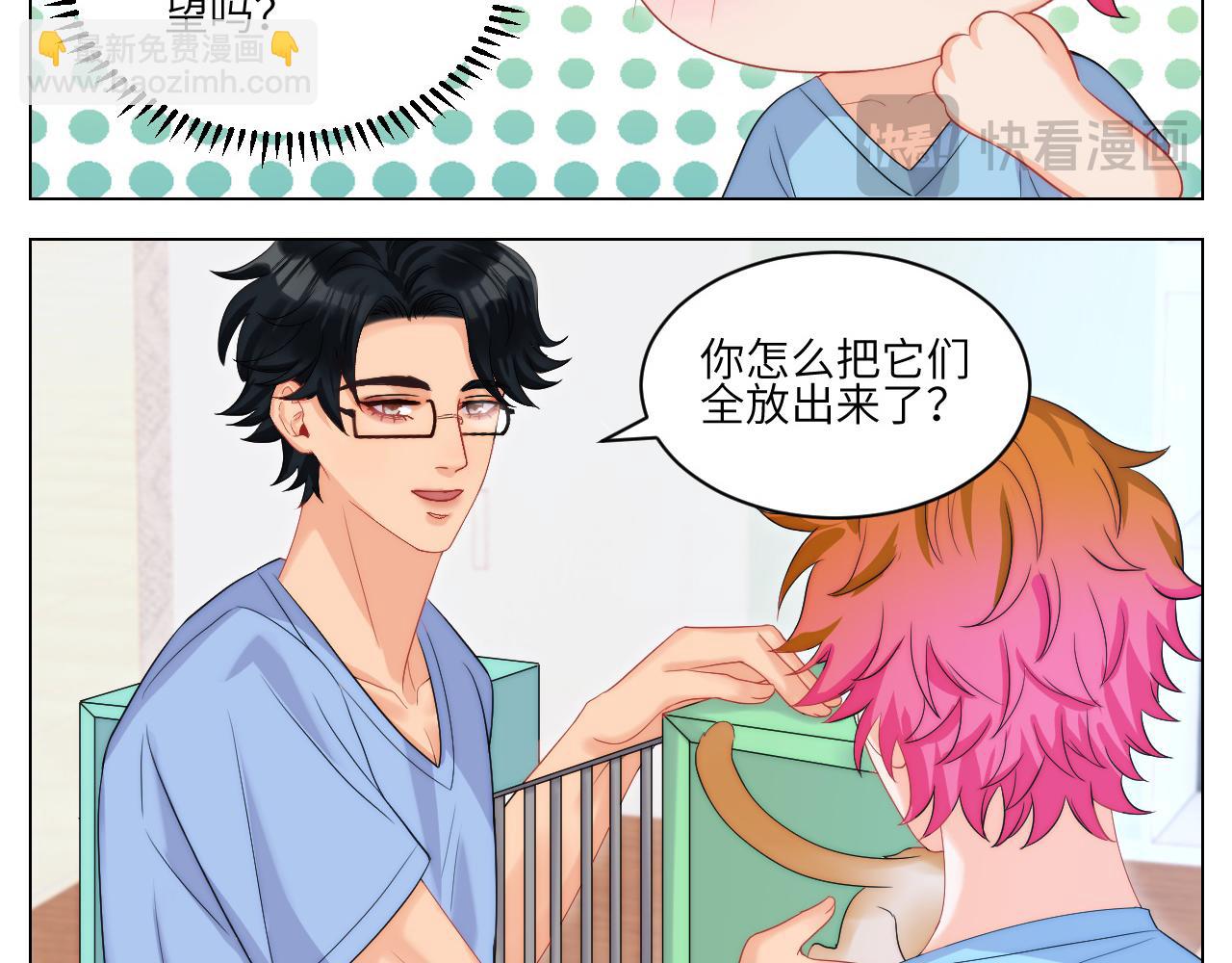 小猫咪们的小护士-第165话