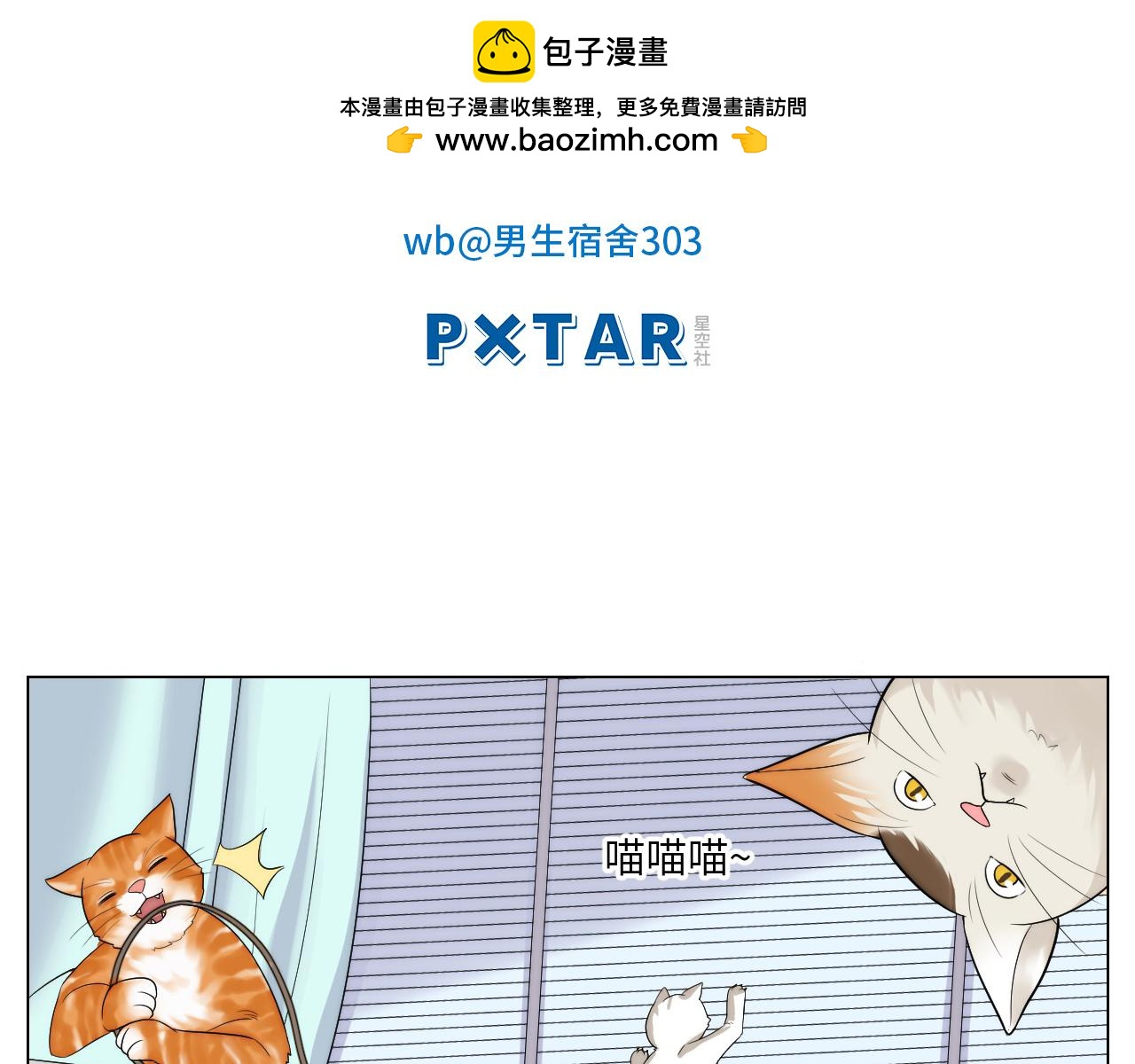 小猫咪们的小护士-第165话