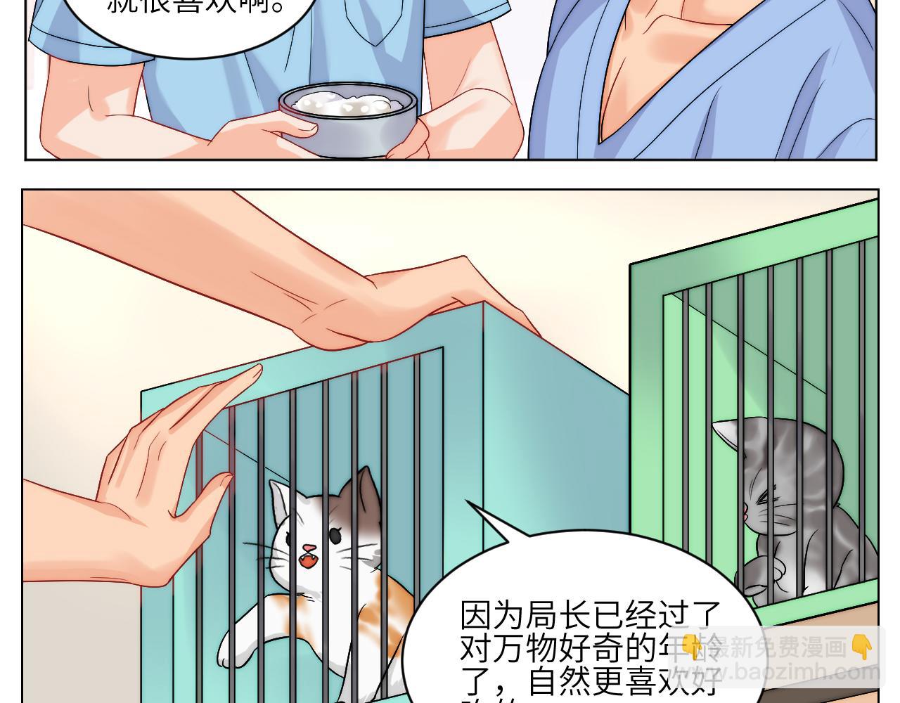 小猫咪们的小护士-第165话