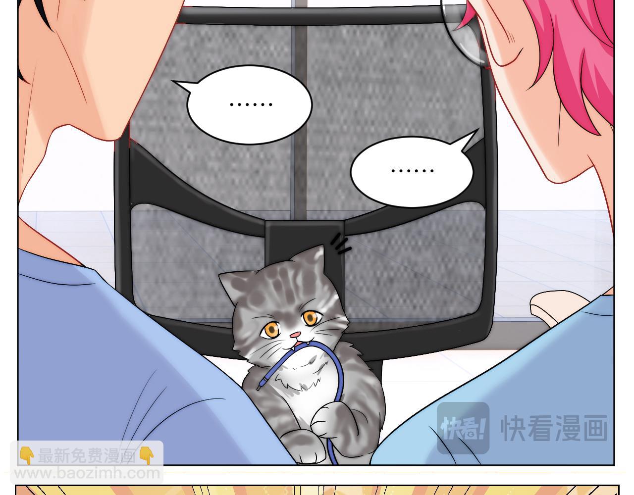小猫咪们的小护士-第165话