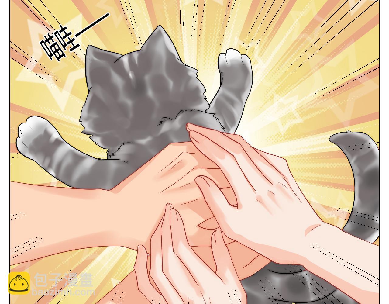 小猫咪们的小护士-第165话