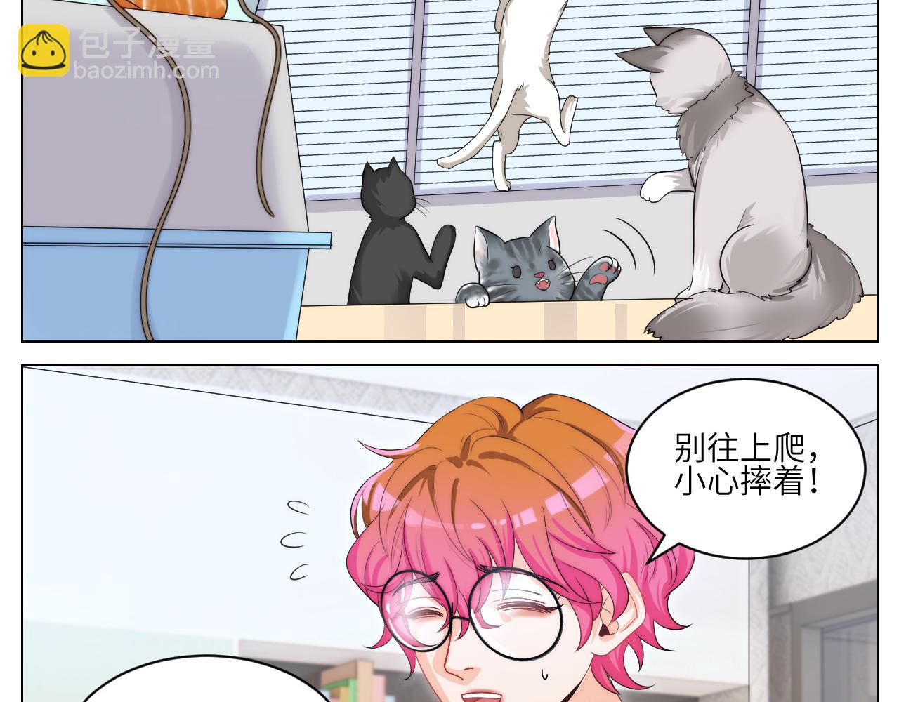 小猫咪们的小护士-第165话