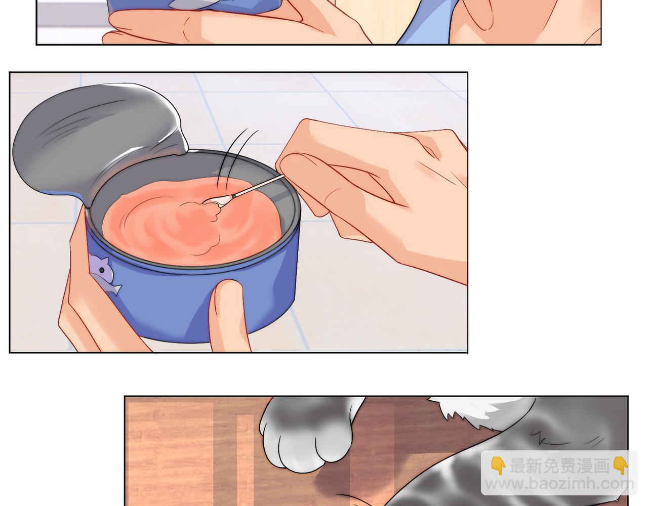 小猫咪们的小护士-第165话