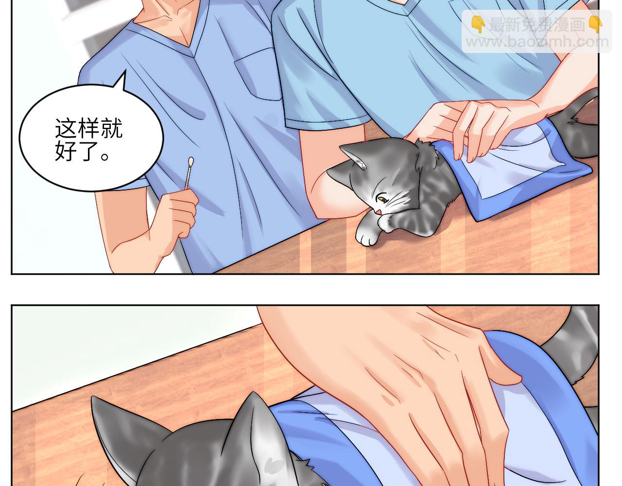 小猫咪们的小护士-第165话