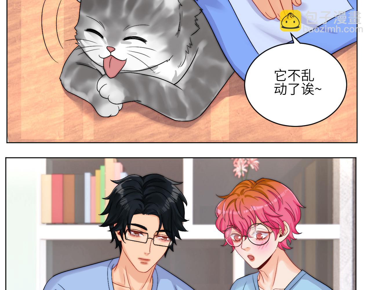 小猫咪们的小护士-第165话