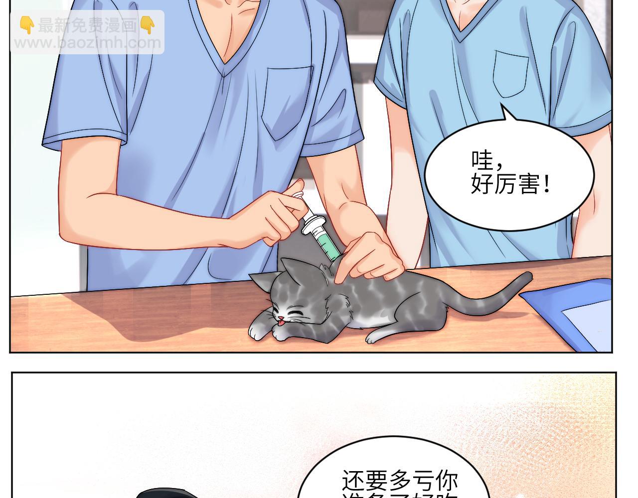 小猫咪们的小护士-第165话