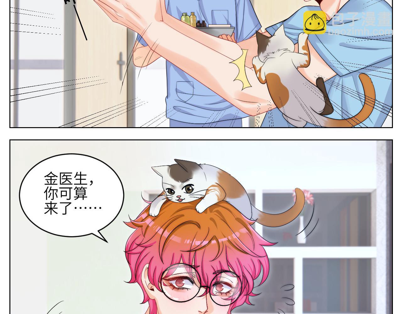 小猫咪们的小护士-第165话