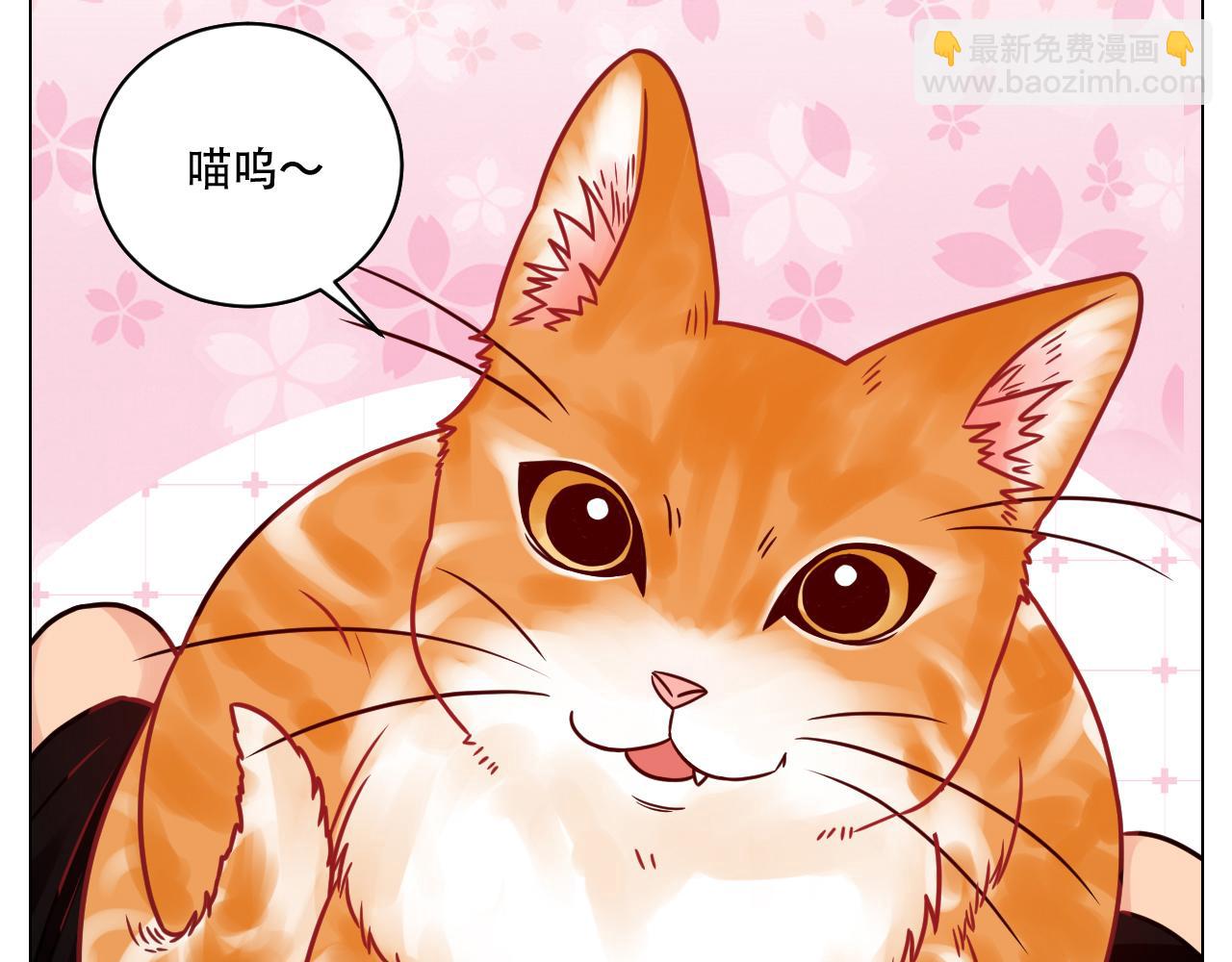 阿晏的属性又增加了！-第99话