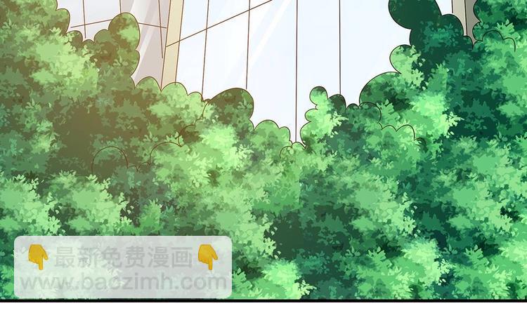 第19话 疯狂的粉丝-第19话