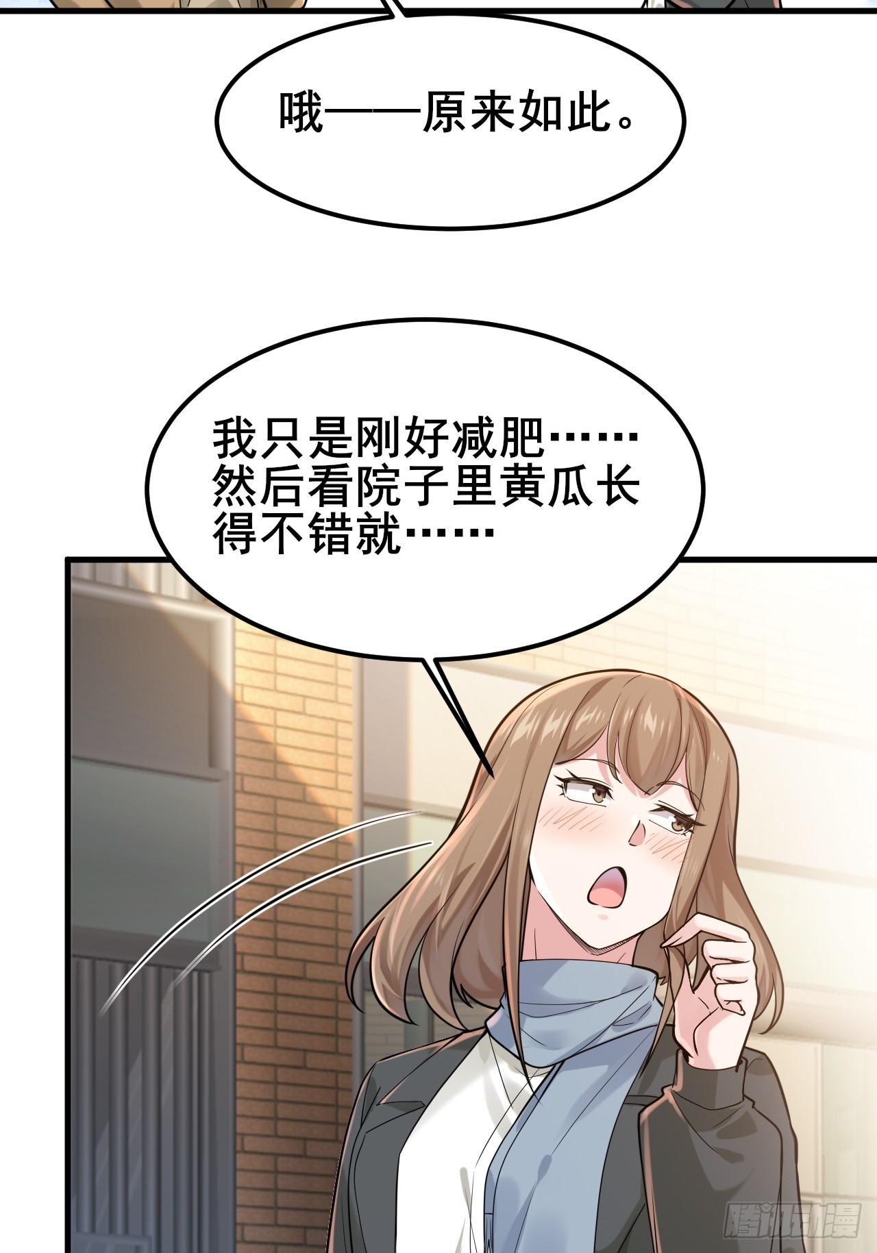 037 谁偷了我的瓜！(1/2)-第39话