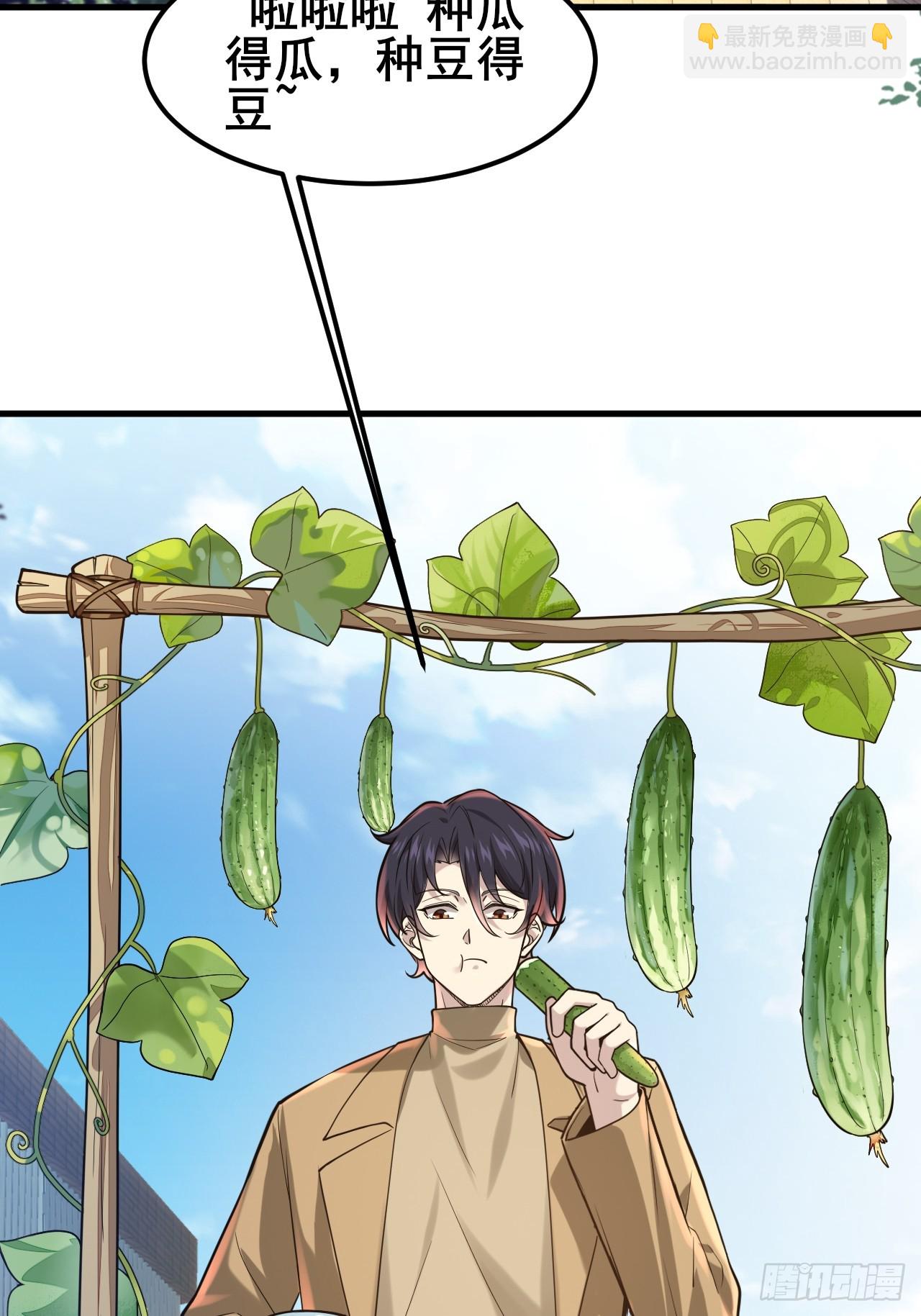 037 谁偷了我的瓜！(1/2)-第39话