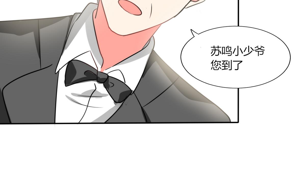 第19话 苏先生的过往(1/2)-第19话