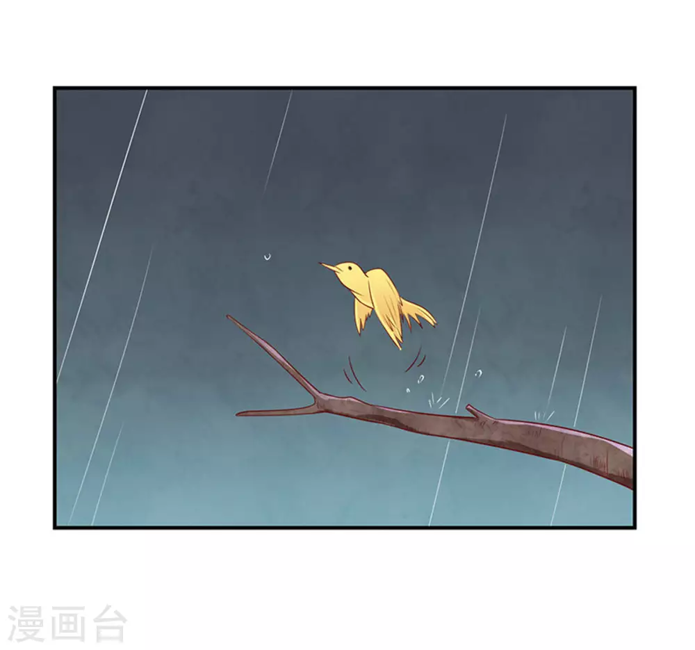 第31话-第31话