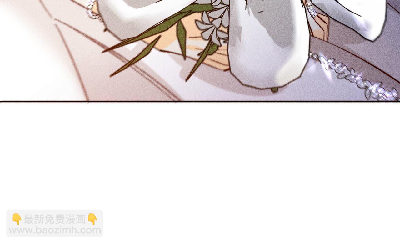 第102话 婚礼的神秘访客(1/3)-第105话
