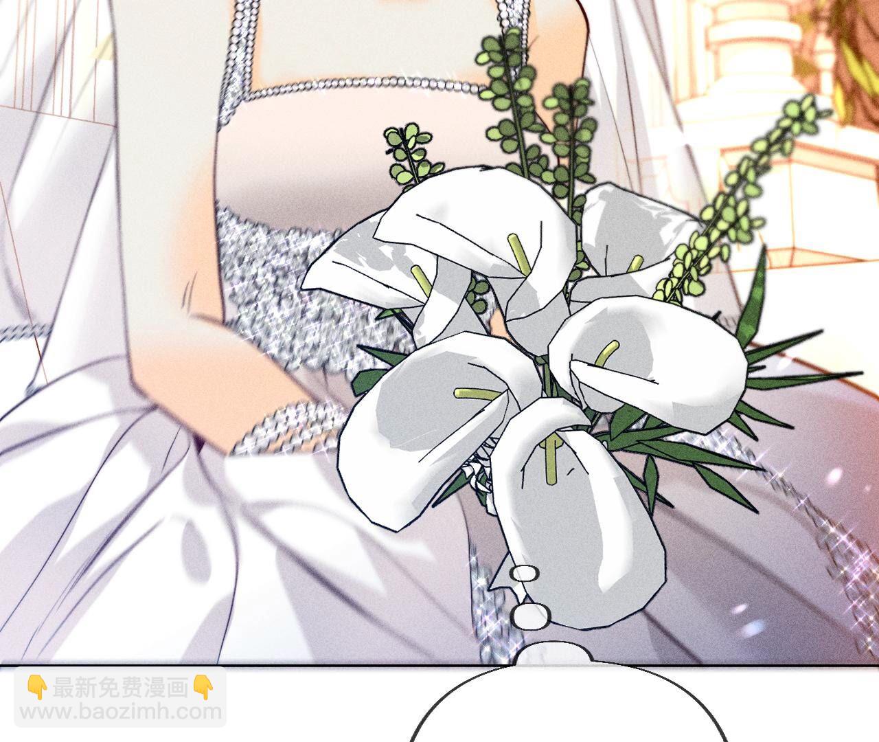 第102话 婚礼的神秘访客(1/3)-第105话