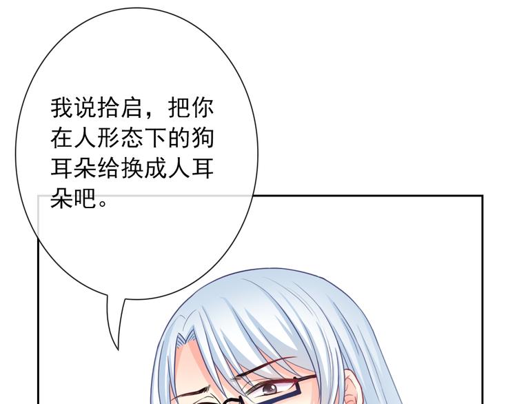 番外  新的开始(1/2)-第113话