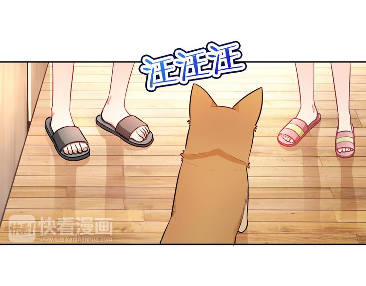 第47话 新宠(1/3)-第49话