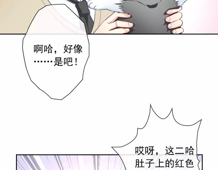 第63话 我是男的！(1/3)-第65话