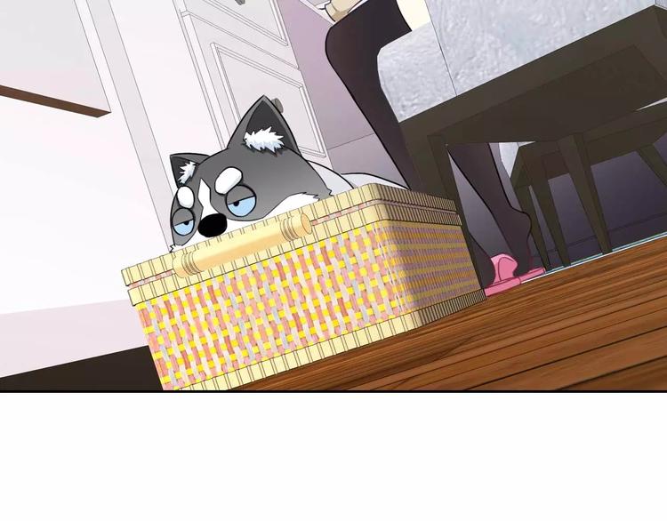 第63话 我是男的！(1/3)-第65话