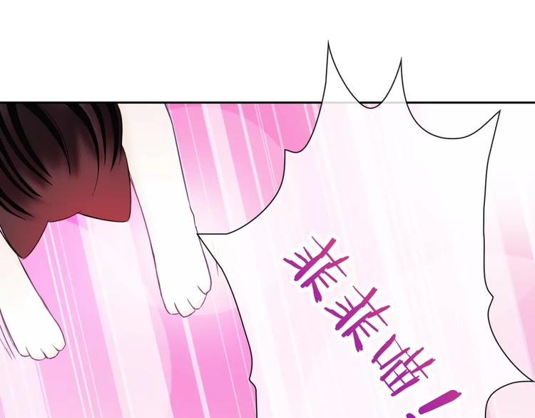 第75话 傻猫？蠢狗？(1/2)-第77话
