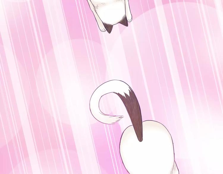 第75话 傻猫？蠢狗？(1/2)-第77话
