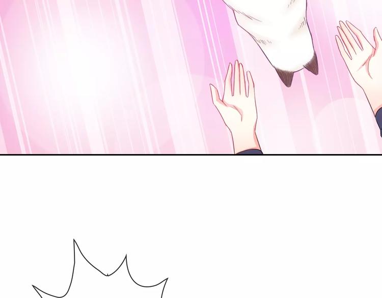 第75话 傻猫？蠢狗？(1/2)-第77话