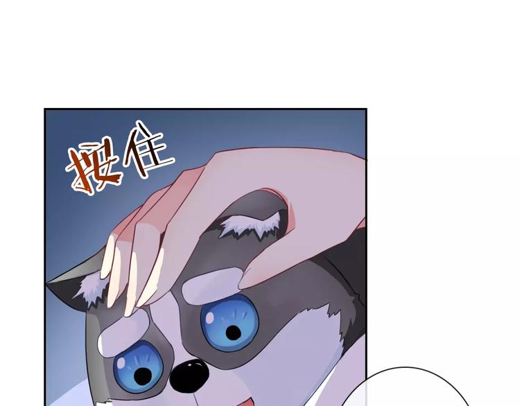 第83话 撸狗(1/3)-第85话
