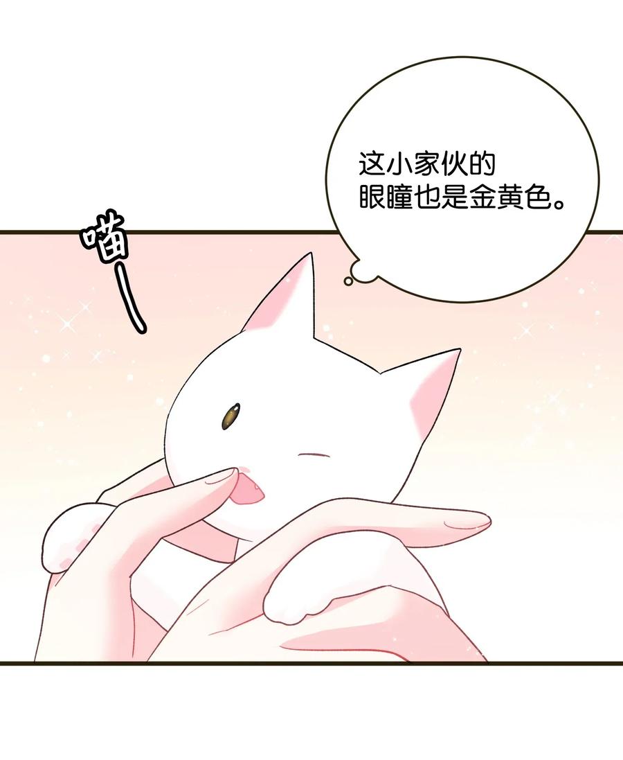17 有话要说(1/2)-第17话