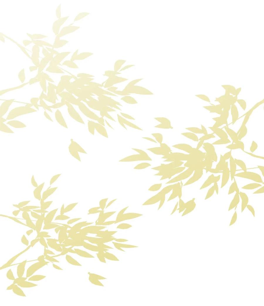 31 对爱人说的话(1/2)-第31话