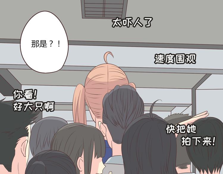第63话 你没事就好&hellip;&hellip;(1/3)-第65话