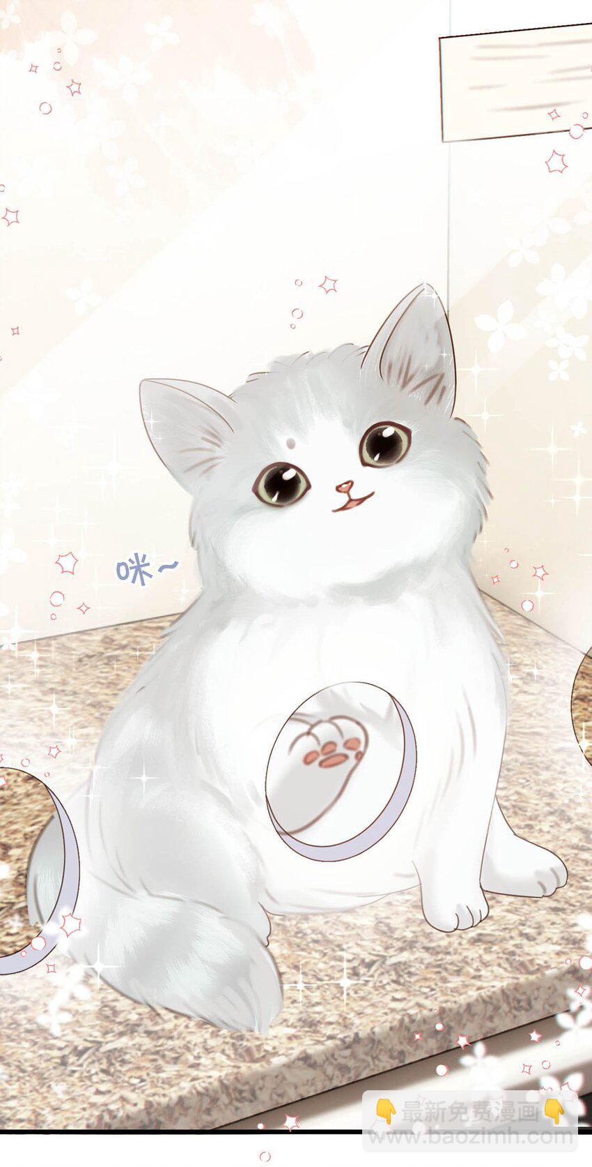 042 沈庭未应该会喜欢它。-第43话