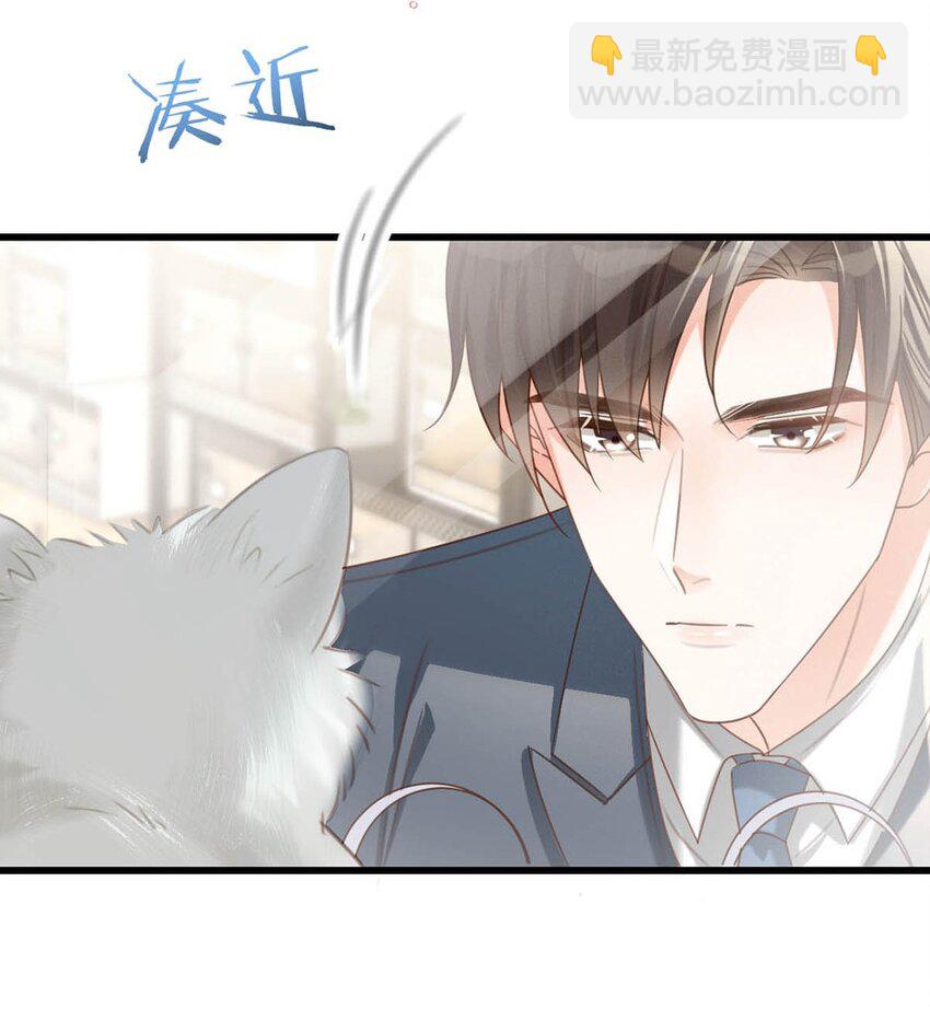 042 沈庭未应该会喜欢它。-第43话