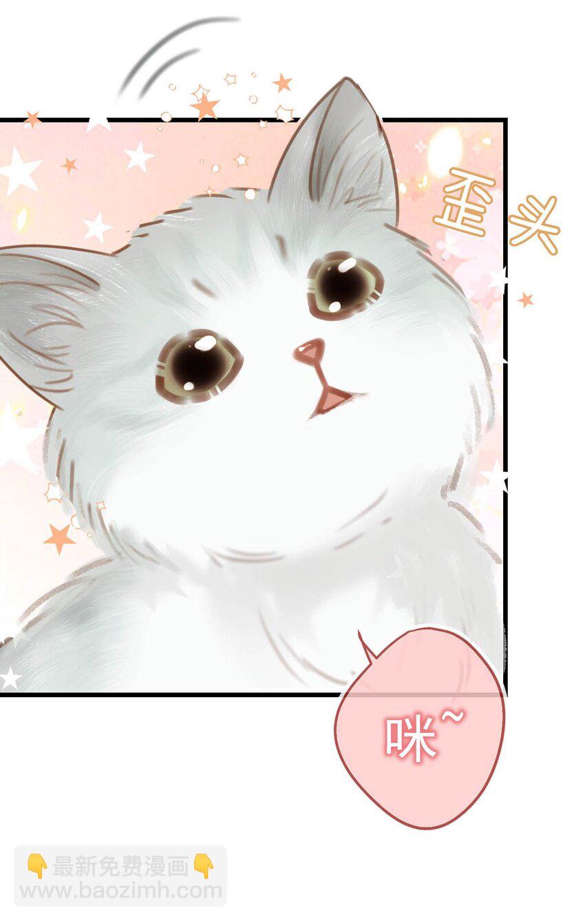 042 沈庭未应该会喜欢它。-第43话