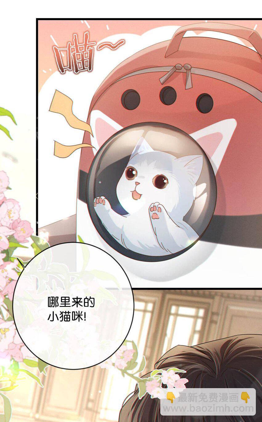 053 从给家人准备惊喜开始吧。(1/2)-第55话