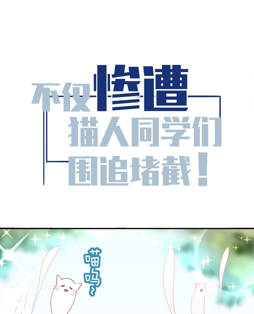 预告 预告-第1话