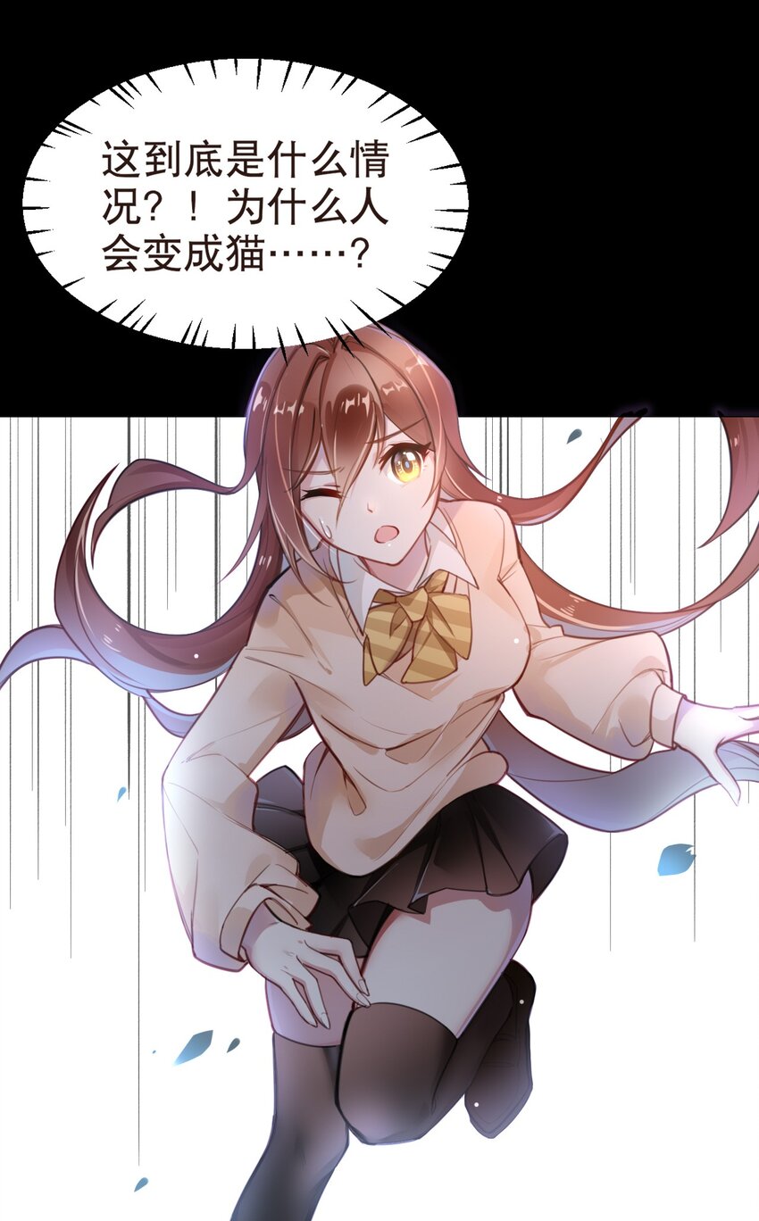 002 宠物？！-第3话