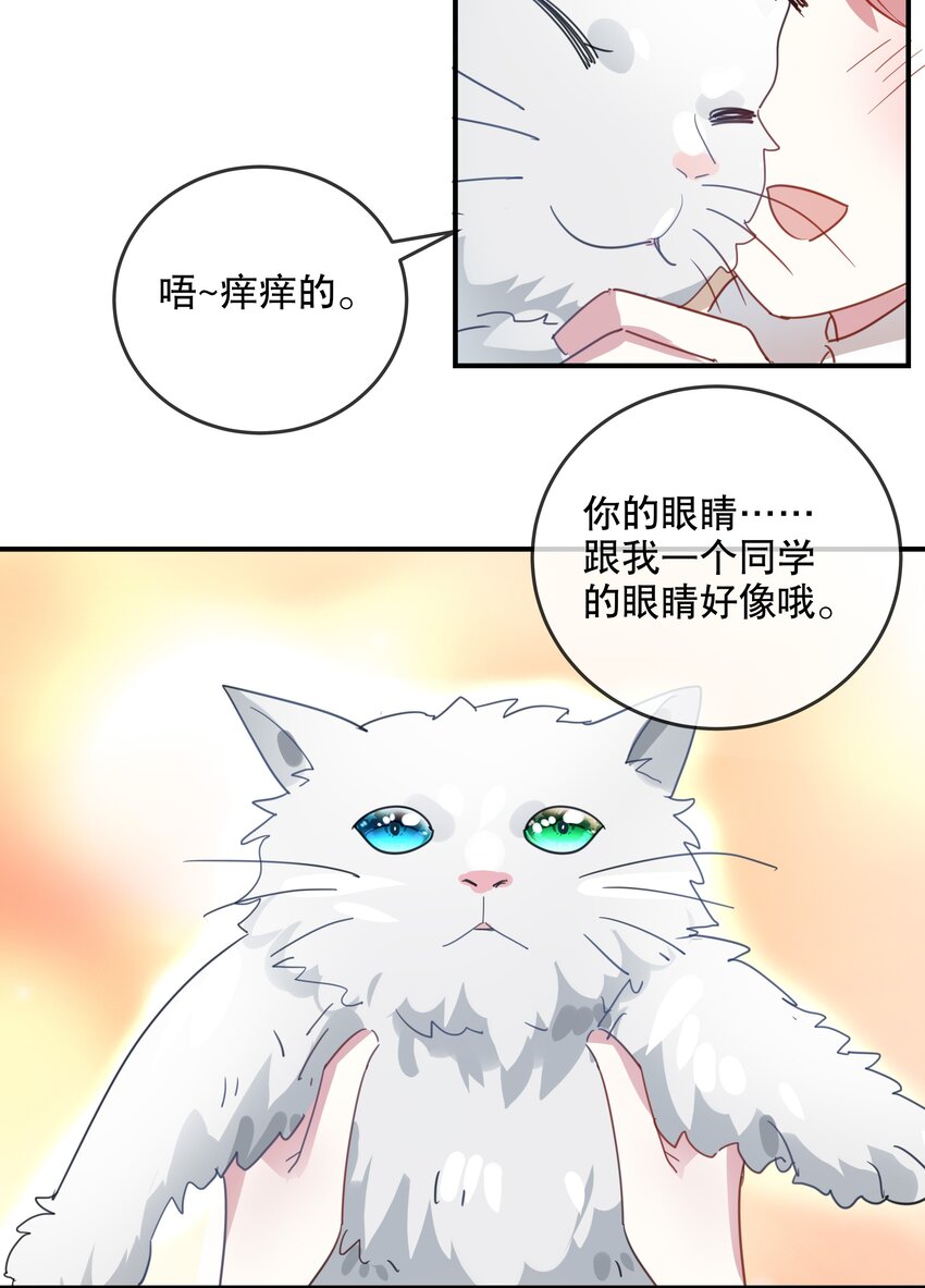046 做想做的事-第49话