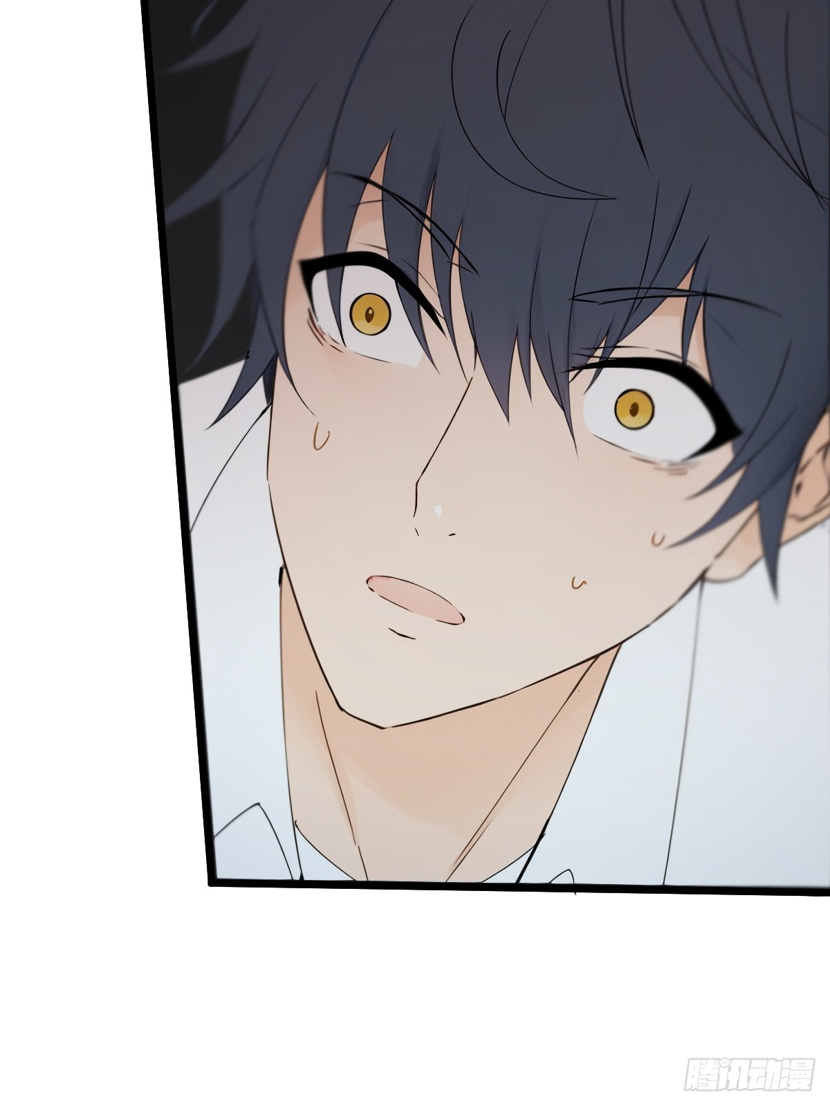 03(1/2)-第3话