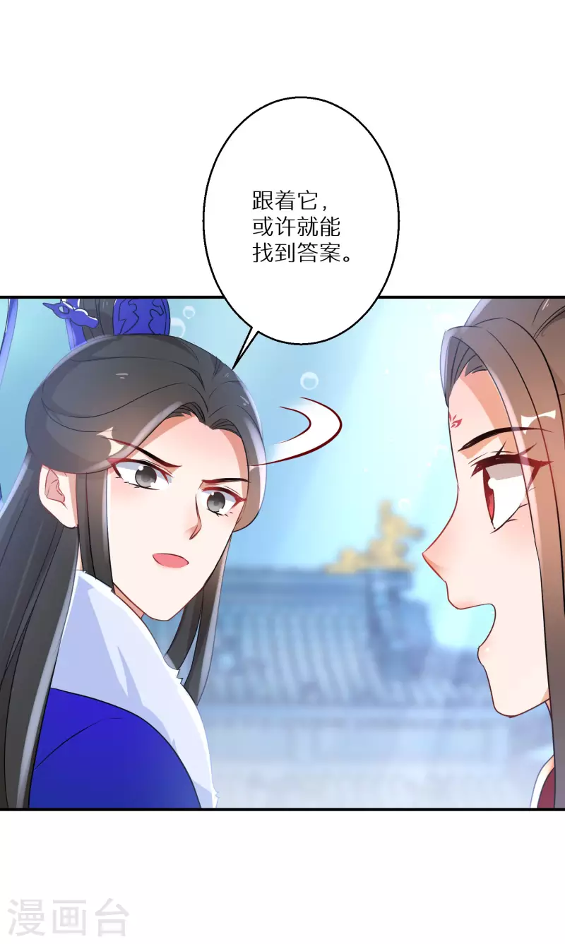 第205-206话 寻找凤髓(1/2)-第193话