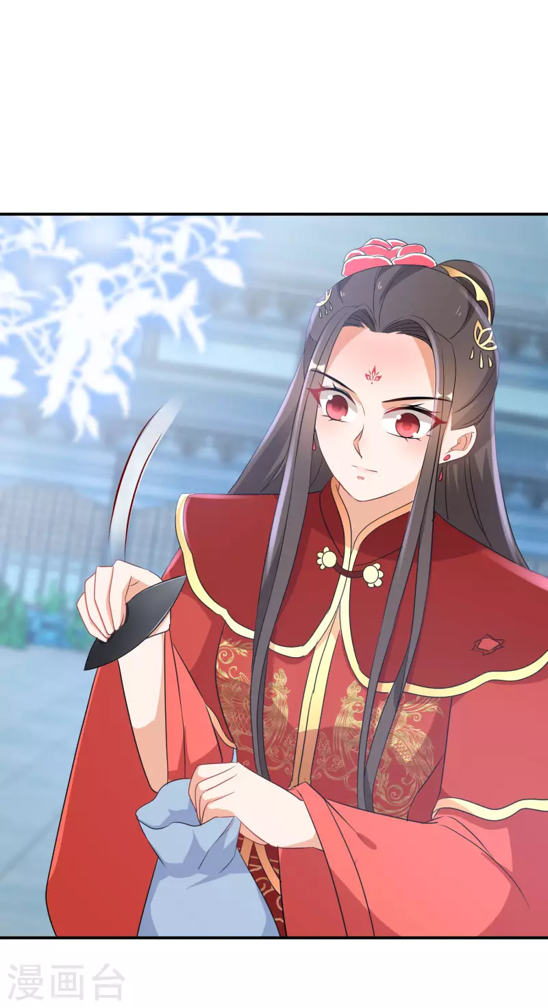 第205-206话 寻找凤髓(1/2)-第193话
