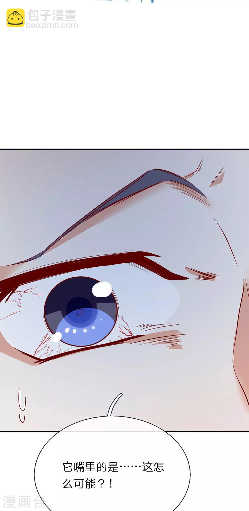 🍗逆天剑神 第91话 白猫化形，  震慑四方 第17页