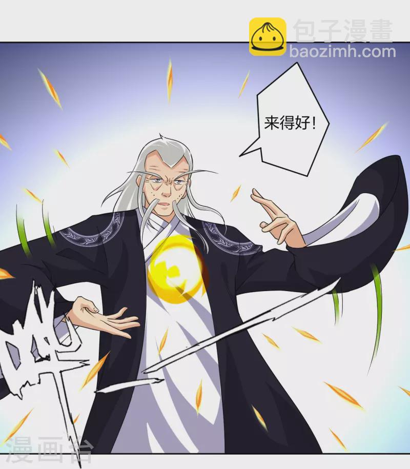 第320话 迎接叶家-第335话