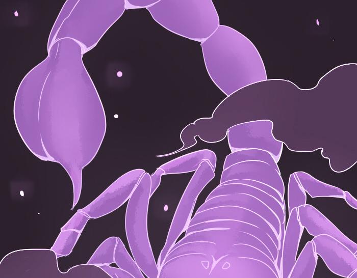 第33话 看来只能武力解决了！-第39话