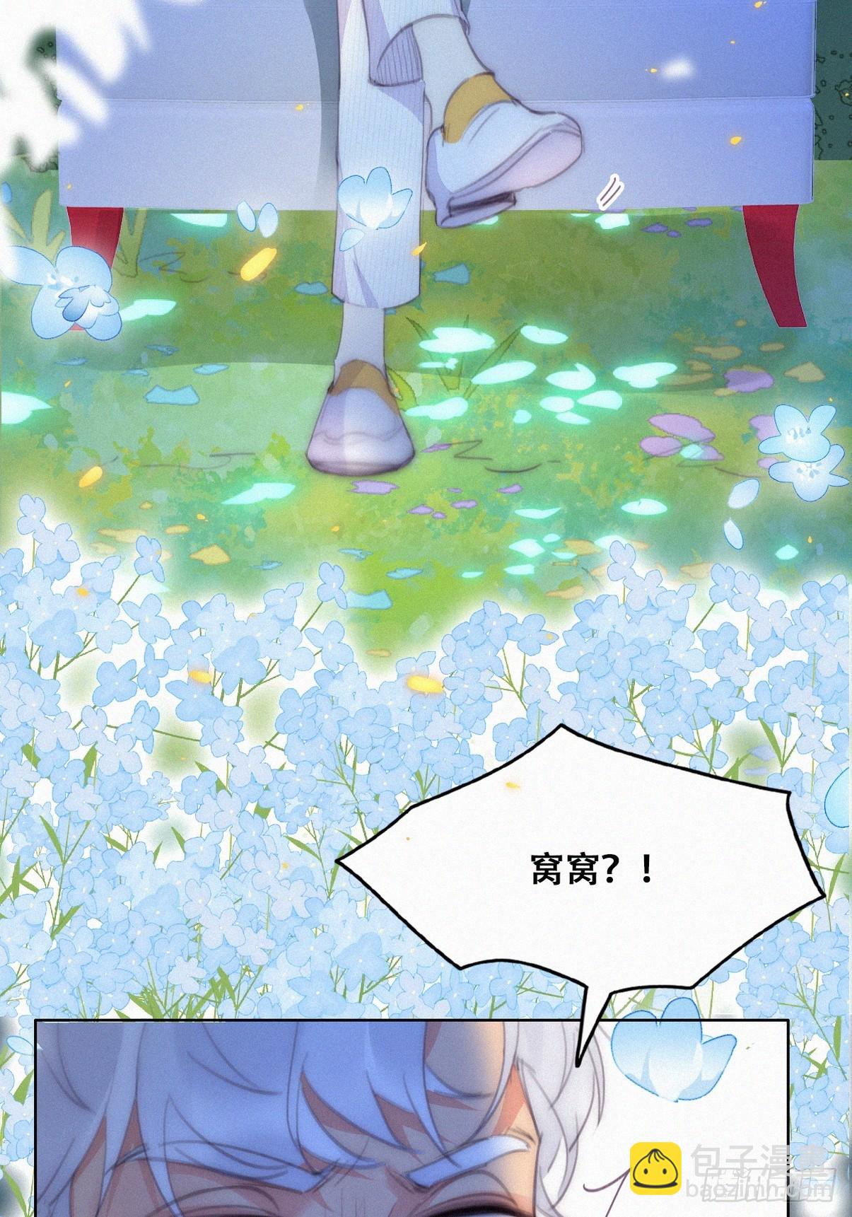 第二季 第43话 绑架小黑(1/2)-第295话