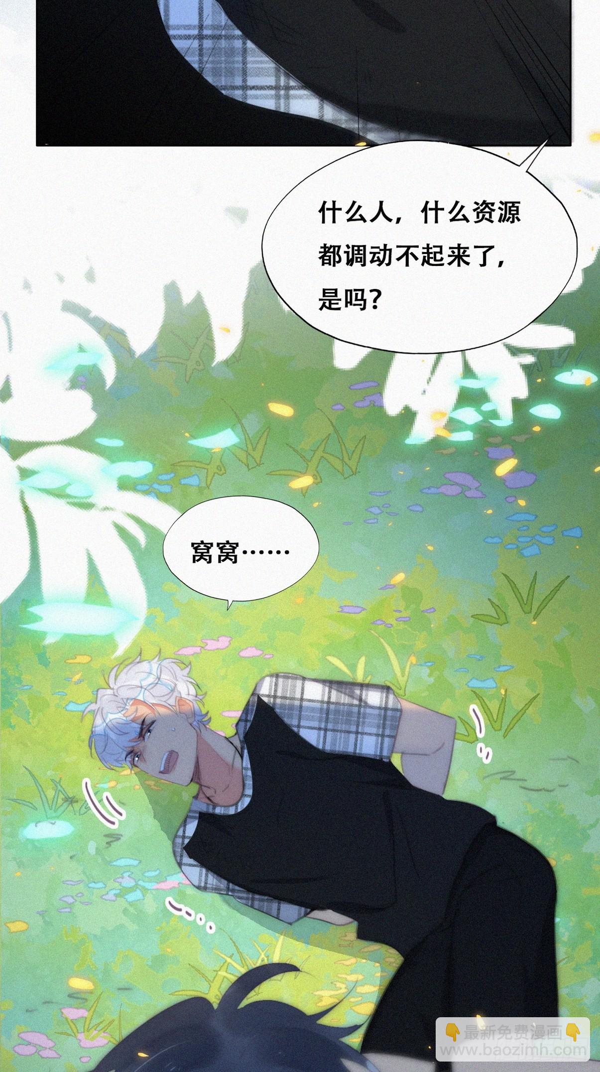 第二季 第43话 绑架小黑(1/2)-第295话