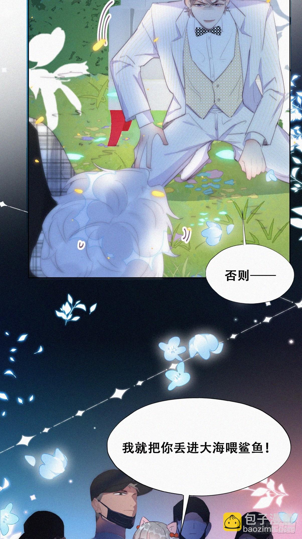 第二季 第43话 绑架小黑(1/2)-第295话