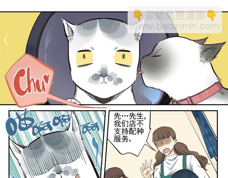 第46话 流转的心意-第47话