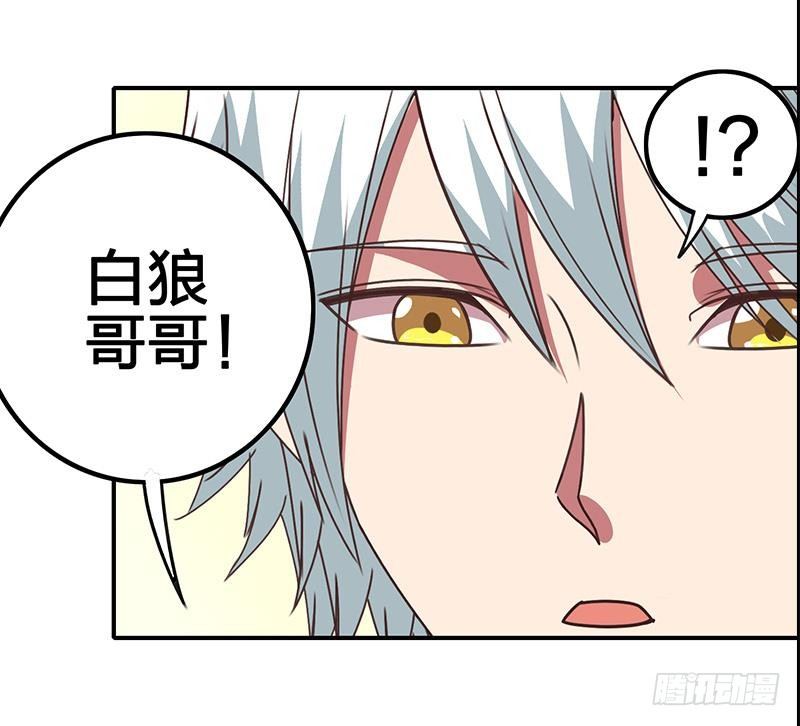 第11话 被欺凌的白狼(1/2)-第11话