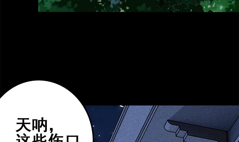 第102话 伤痕累累(1/2)-第103话
